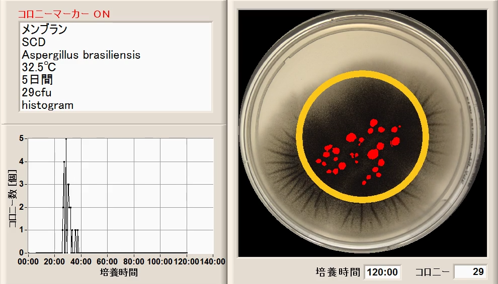微生物限度試験/Aspergillus